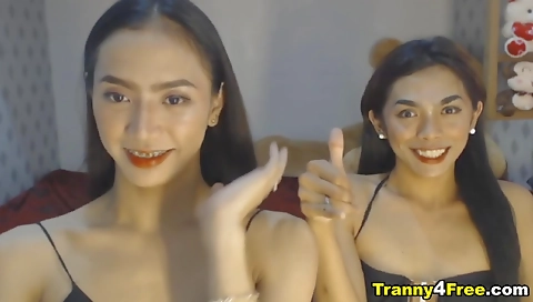 Shemale amateur fucks shemale asian shemale small tits